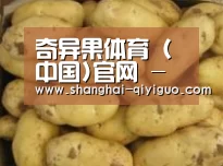 产品展示标题6