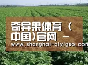 种植基地五