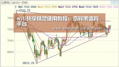wifi共享精灵使用教程:奇异果体育平台(图1) 奇异果体育直播